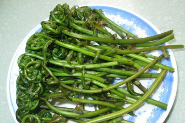 Đọt choại