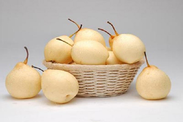 hình ảnh trái lê