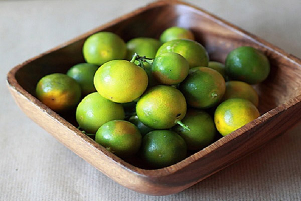 hình ảnh trái quất
