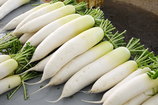 hình củ cải trắng