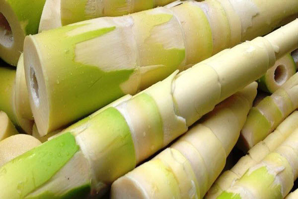 hình khử độc măng