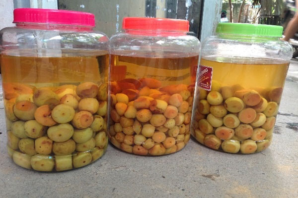 Rượu táo mèo