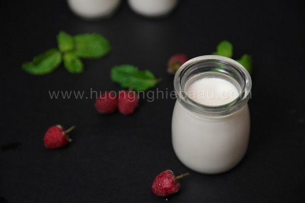 Yaourt là thức uống thơm ngon, bổ dưỡng của nhiều gia đình hinh anh yogurt