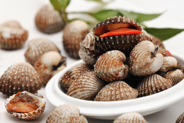 Hình dinh dưỡng trong sò huyết