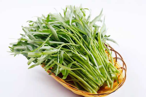 hình rau muống