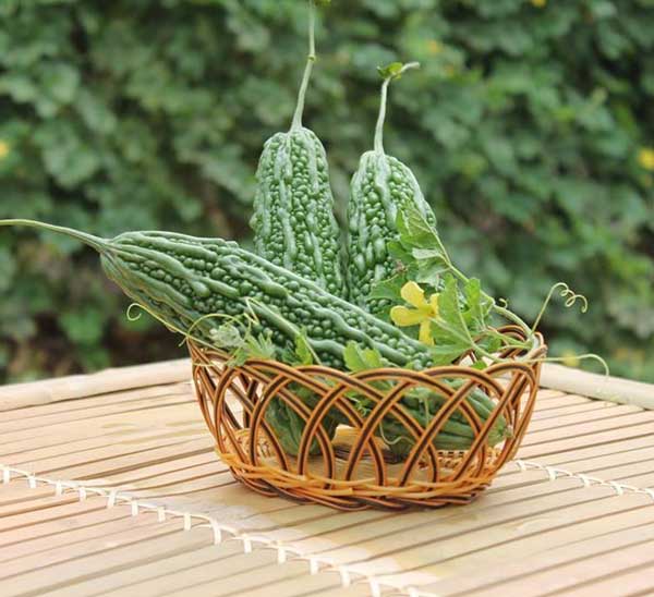 Khổ qua là nguyên liệu của nhiều món ăn ngon